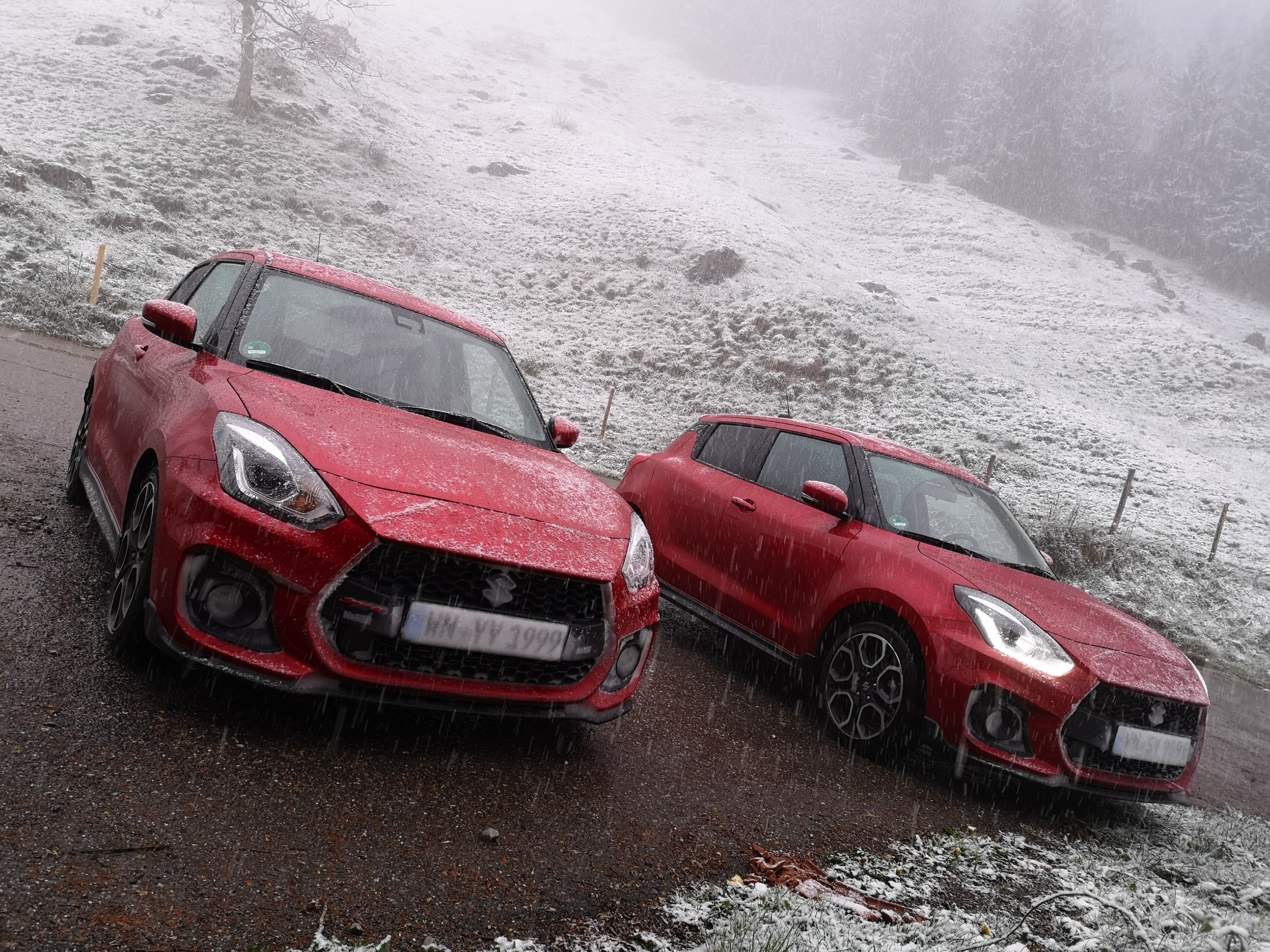 zwei swifts im schnee