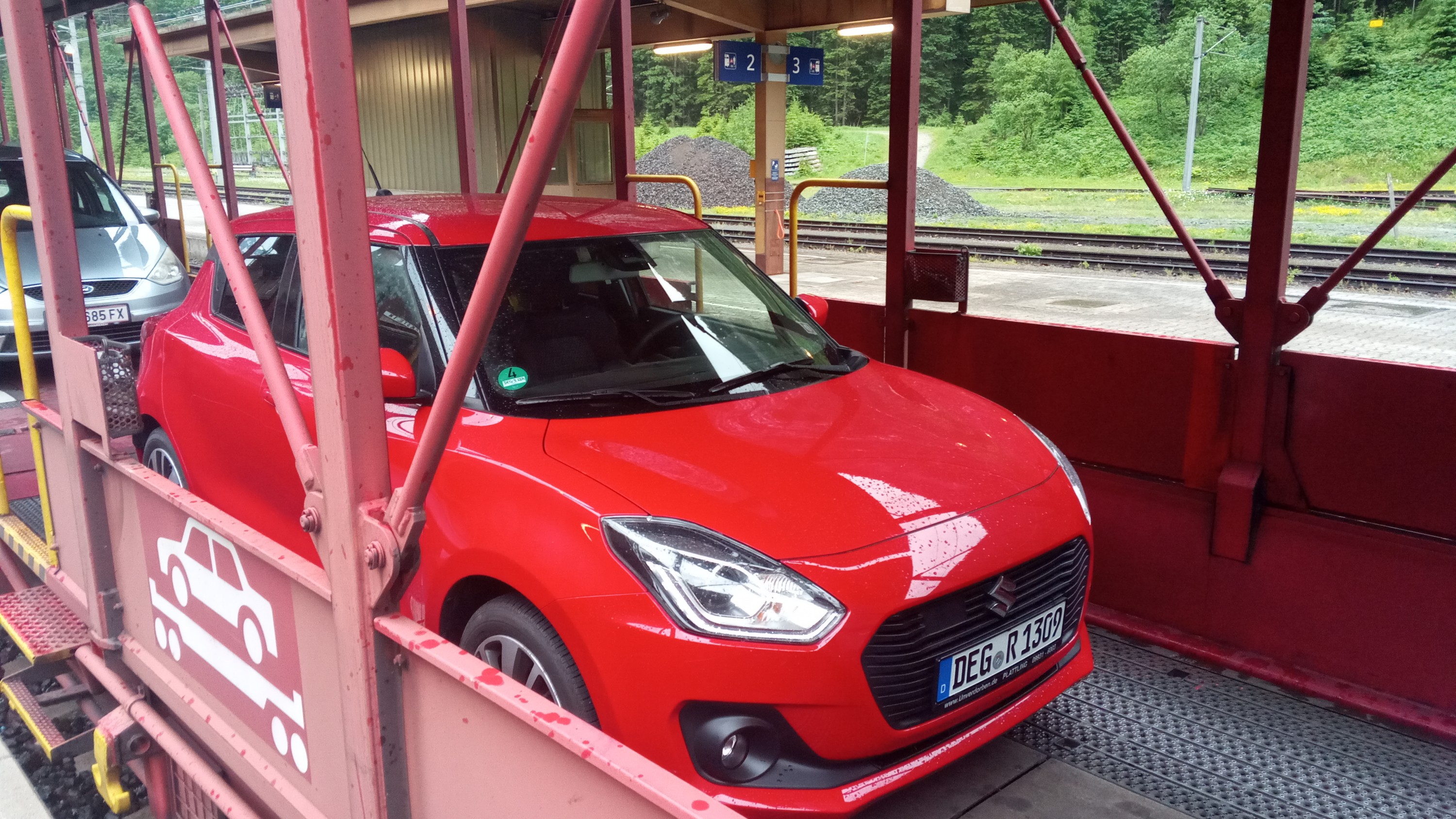 Swift on the rail.