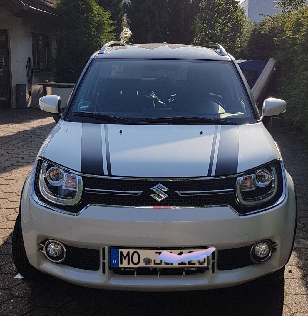 Ignis Allgrip Dekor