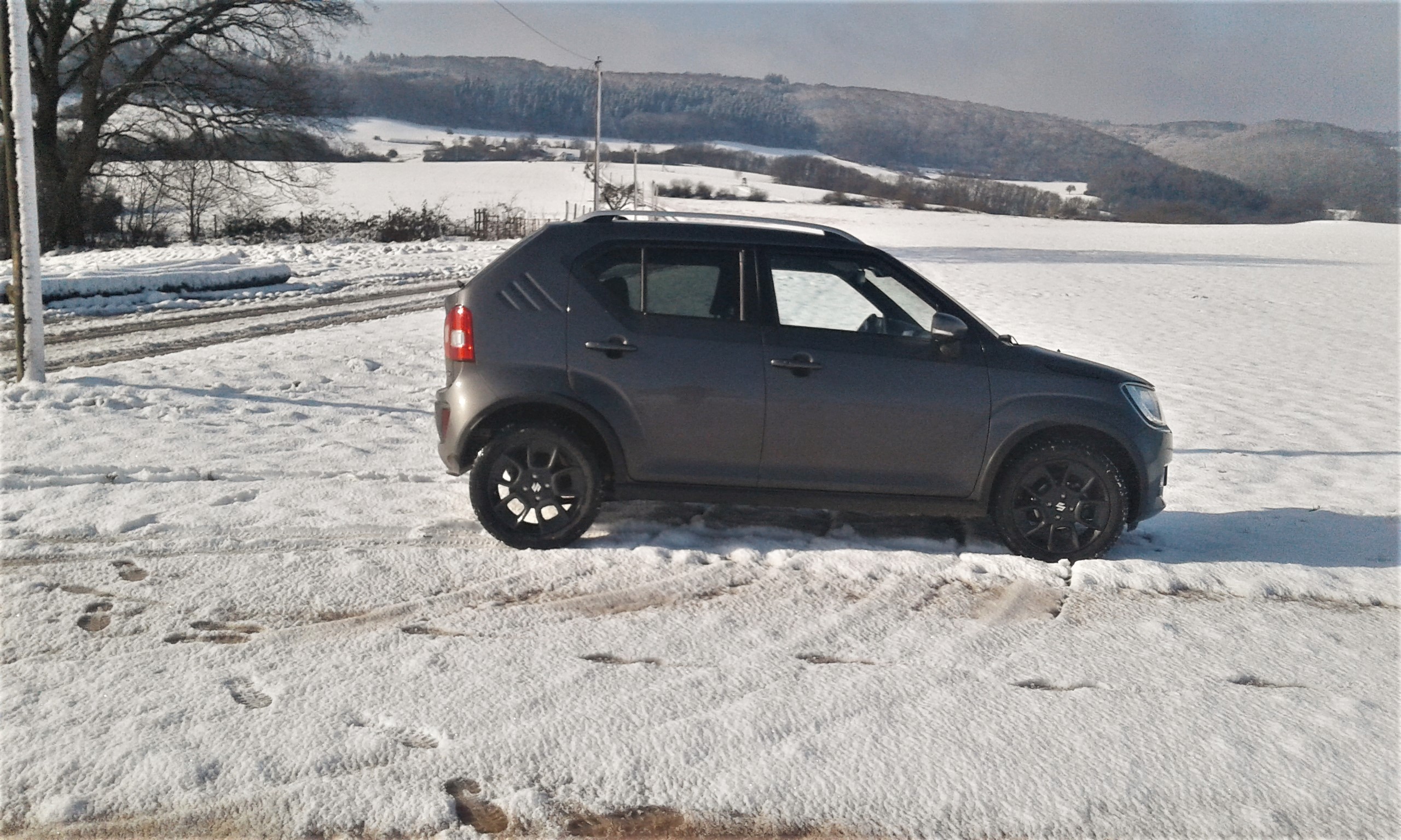 im Schnee