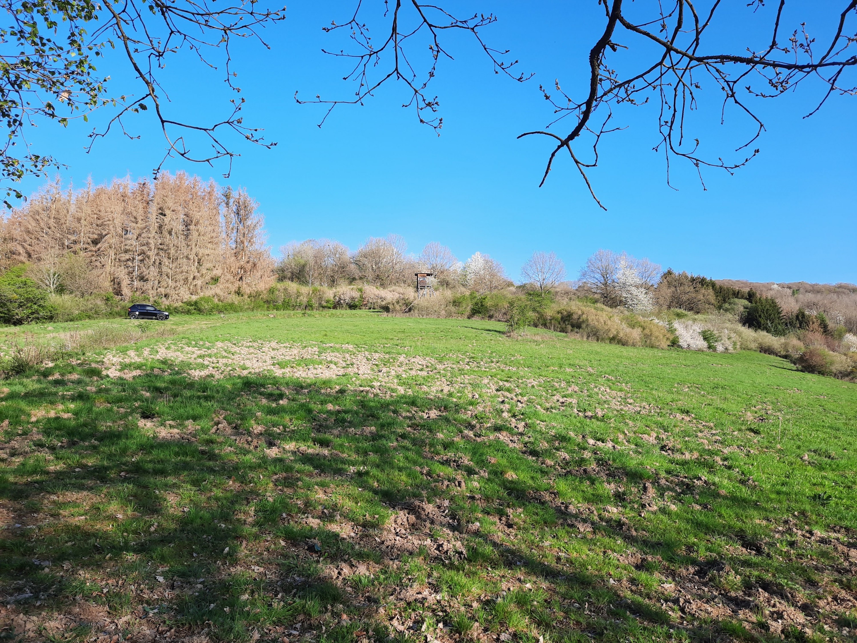 Ignis im Westerwald