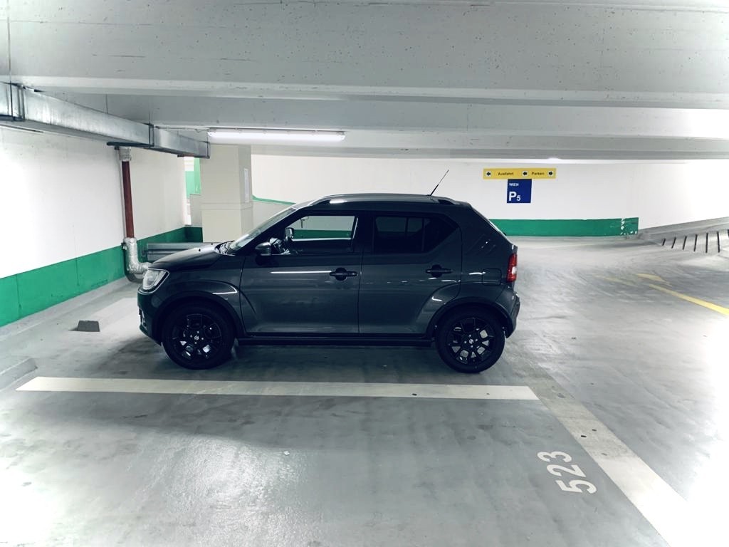 Mein Ignis
