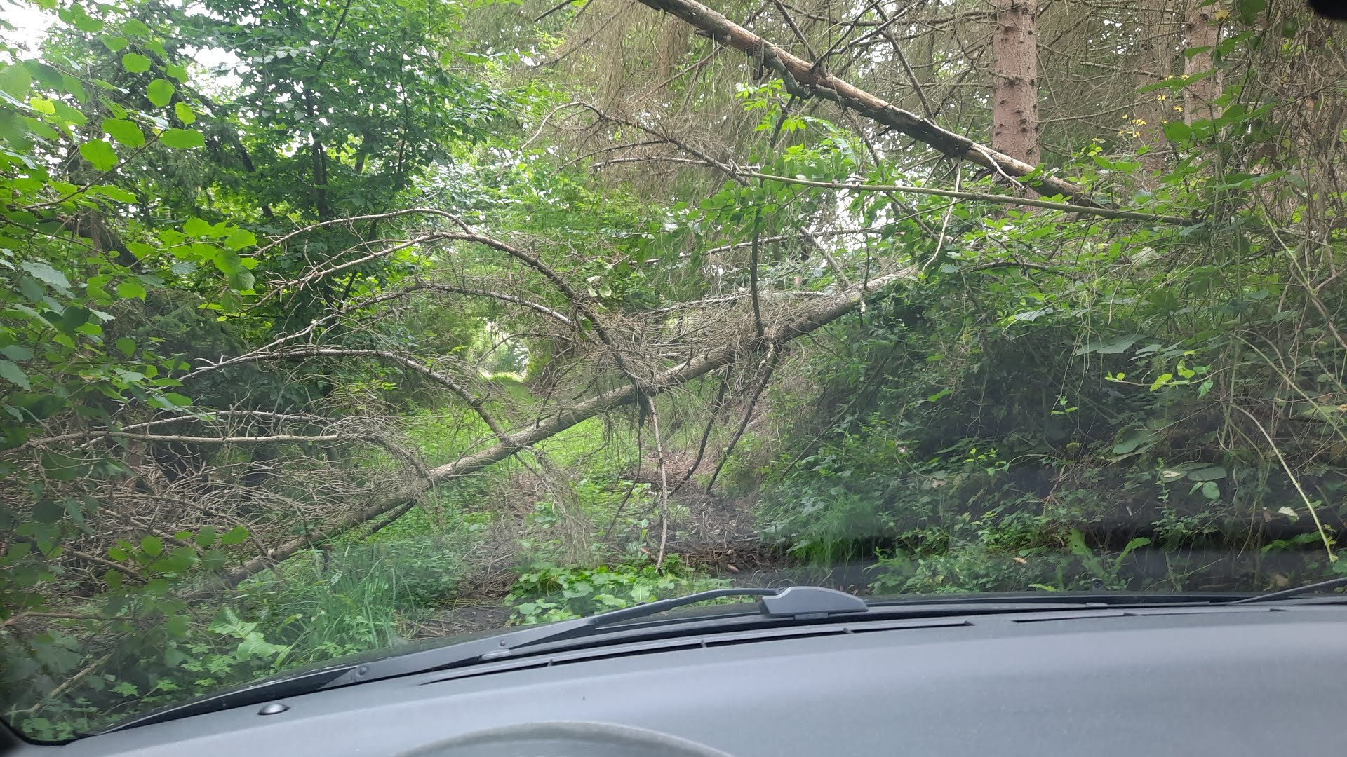 Probleme auf dem Weg des Ignis