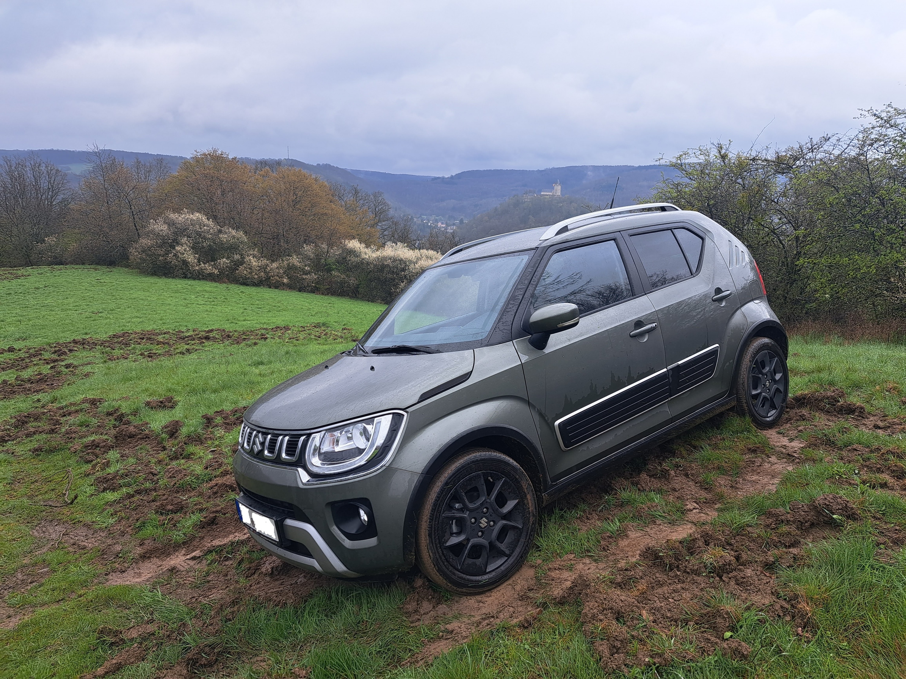 Ignis allgrip in artgerechter Haltung