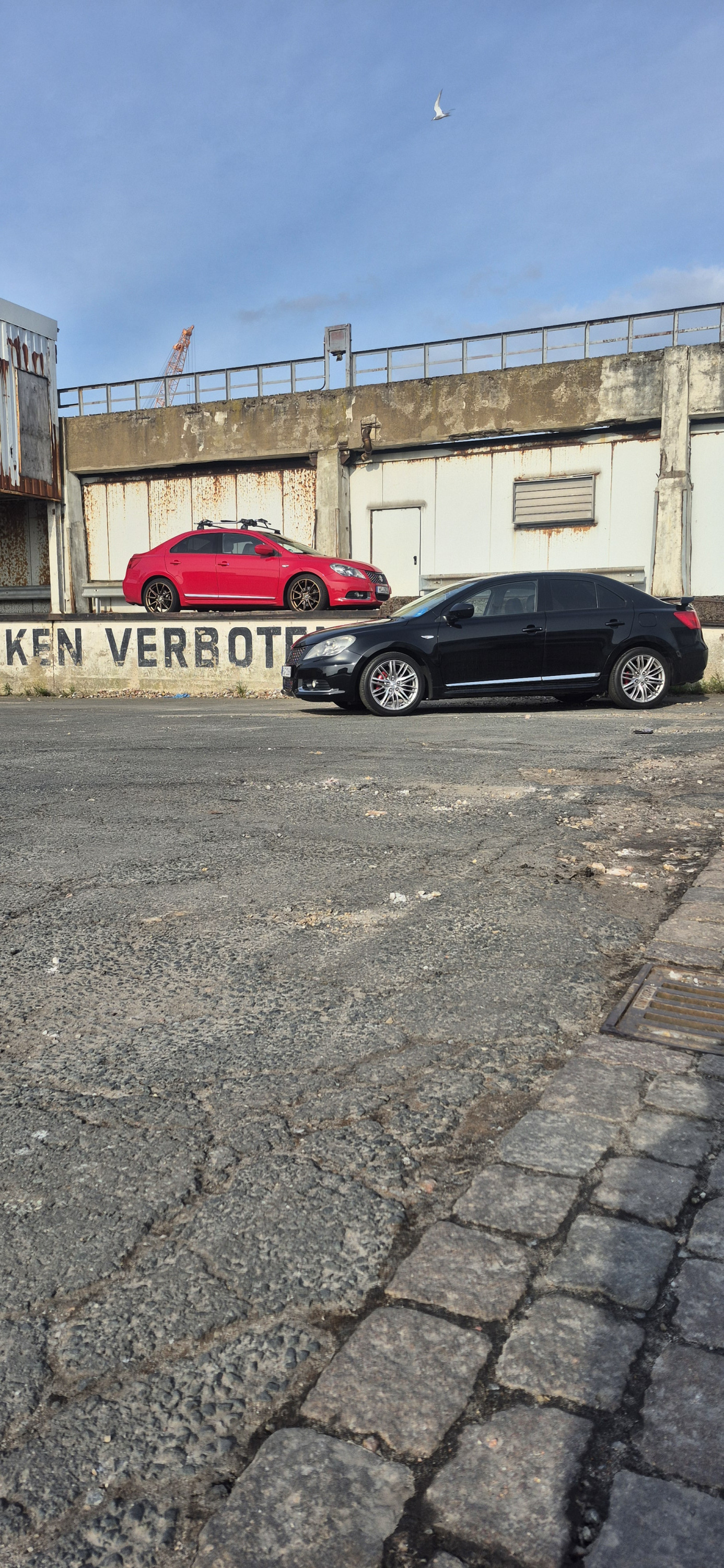 2 kizashi sehr selten zusammen