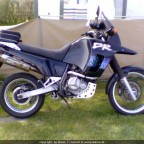 DR 800