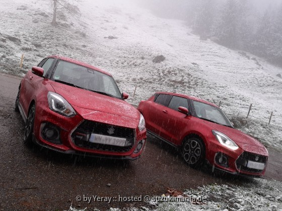 zwei swifts im schnee