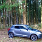 Swift Allgrip