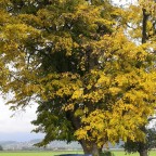 Herbstausfahrt