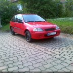 Teddys Swift MA GLS